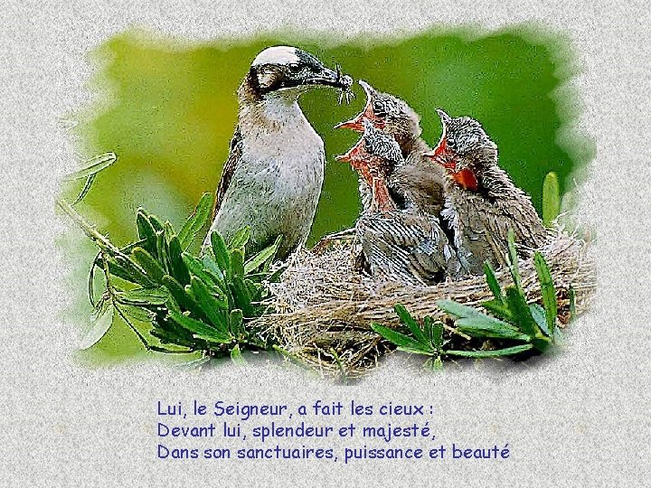 Lui, le Seigneur, a fait les cieux : Devant lui, splendeur et majesté, Dans