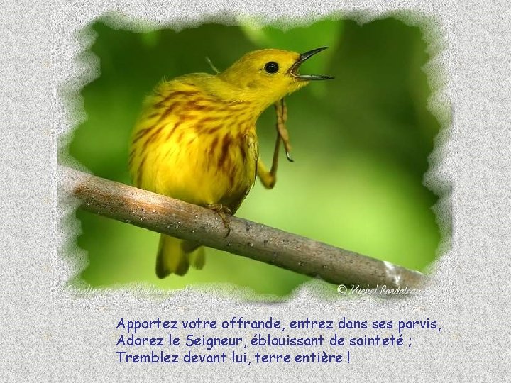 Apportez votre offrande, entrez dans ses parvis, Adorez le Seigneur, éblouissant de sainteté ;