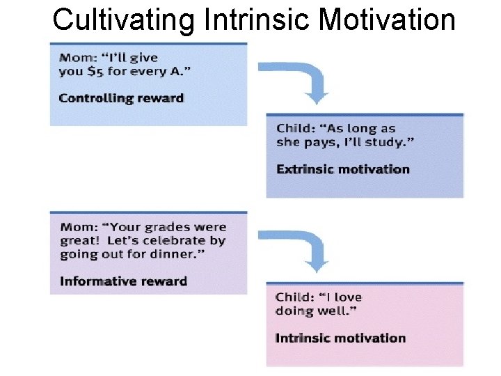 Cultivating Intrinsic Motivation 