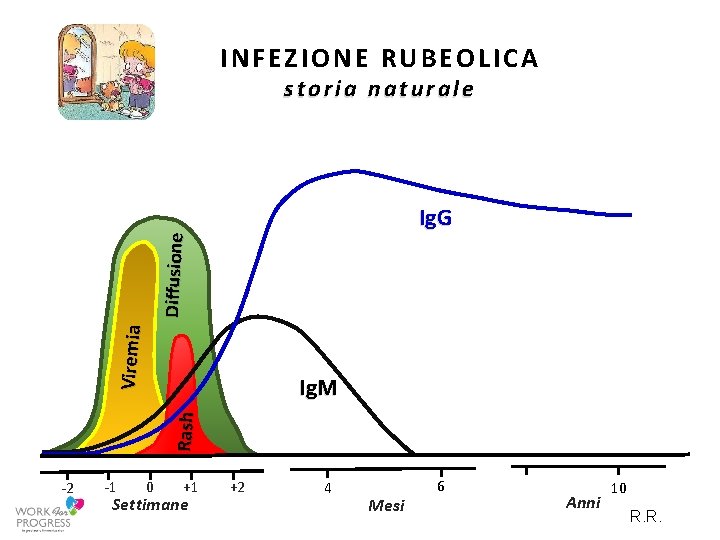 INFEZIONE RUBEOLICA storia naturale V iremia Diffu sione Ig. G Ra sh Ig. M