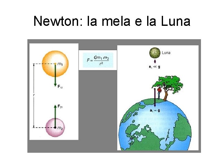 Newton: la mela e la Luna 