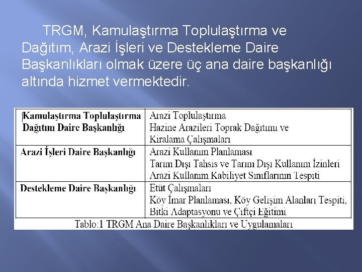 TRGM, Kamulaştırma Toplulaştırma ve Dağıtım, Arazi İşleri ve Destekleme Daire Başkanlıkları olmak üzere üç