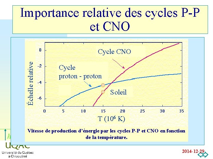 Importance relative des cycles P-P et CNO Échelle relative Cycle CNO Cycle proton -