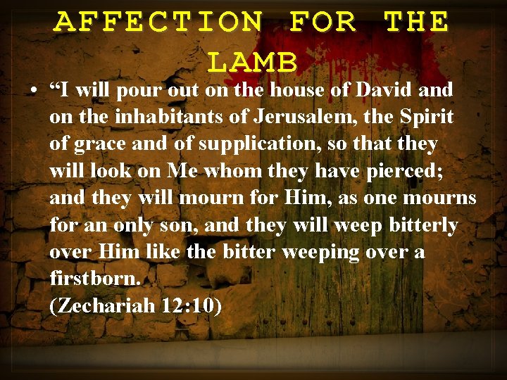 AFFECTION FOR THE LAMB • “I will pour out on the house of David