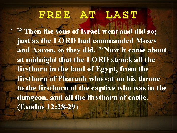 FREE AT LAST • 28 Then the sons of Israel went and did so;