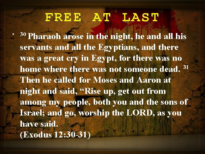FREE AT LAST • 30 Pharaoh arose in the night, he and all his