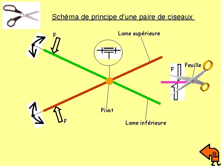 Schéma de principe d’une paire de ciseaux Lame supérieure F F Pivot F Lame