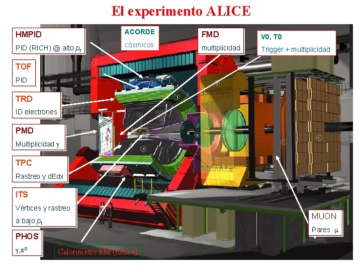 El experimento ALICE HMPID ACORDE FMD V 0, T 0 PID (RICH) @ alto