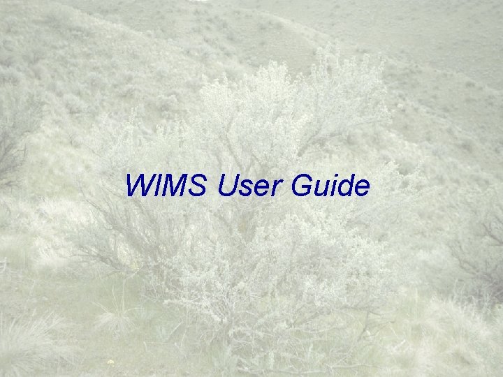 WIMS User Guide 