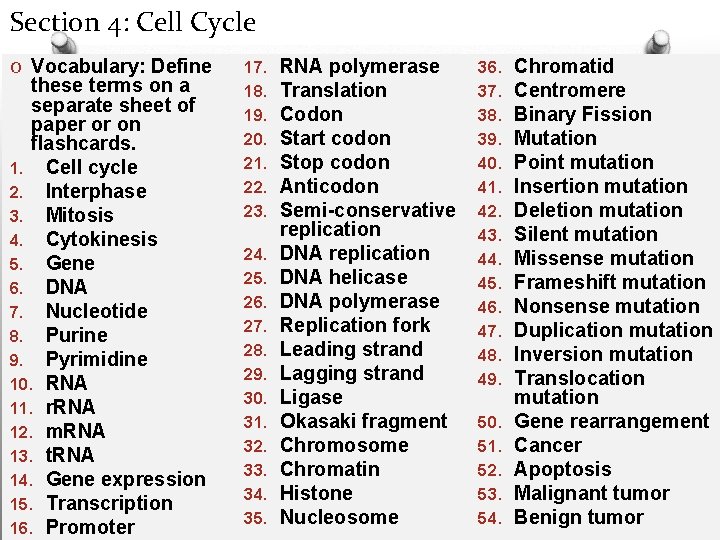 Section 4: Cell Cycle O Vocabulary: Define these terms on a separate sheet of