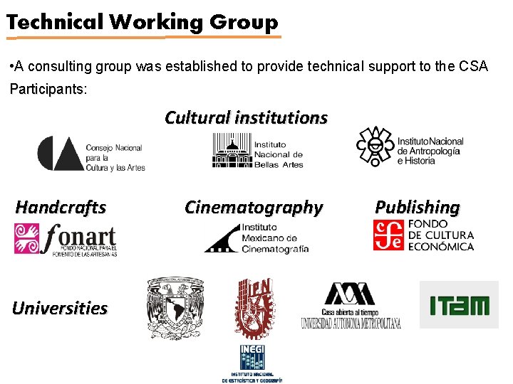 Technical Working Group • A consulting group was established to provide technical support to