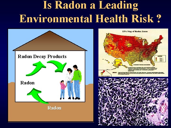 Is Radon a Leading Environmental Health Risk ? Radon Decay Products Radon 