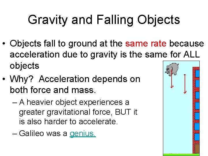 Gravity and Falling Objects • Objects fall to ground at the same rate because