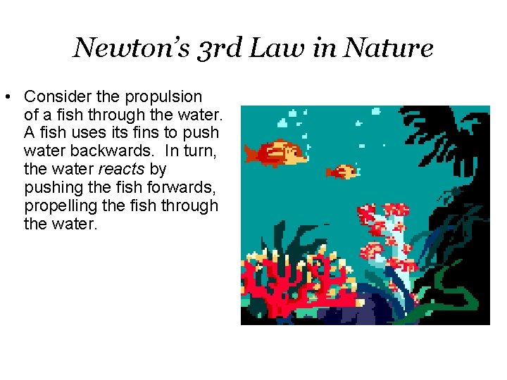 Newton’s 3 rd Law in Nature • Consider the propulsion of a fish through