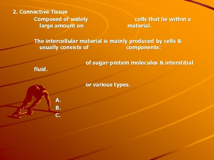 2. Connective Tissue Composed of widely large amount on cells that lie within a