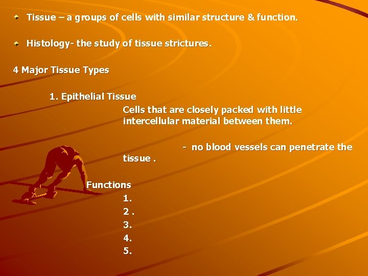 Tissue – a groups of cells with similar structure & function. Histology- the study
