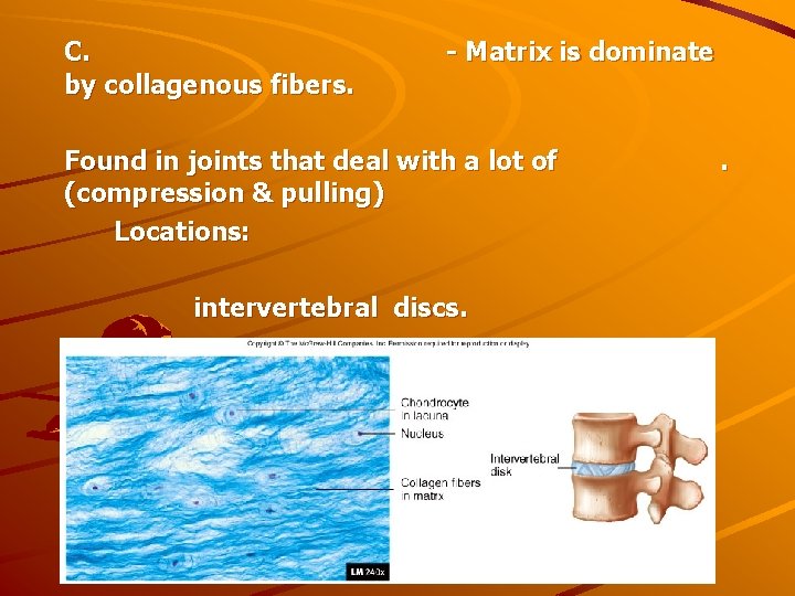 C. by collagenous fibers. - Matrix is dominate Found in joints that deal with