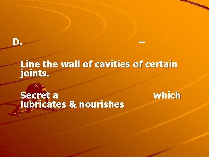 D. – Line the wall of cavities of certain joints. Secret a lubricates &