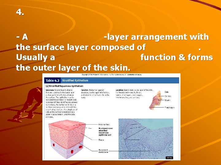 4. -A -layer arrangement with the surface layer composed of. Usually a function &