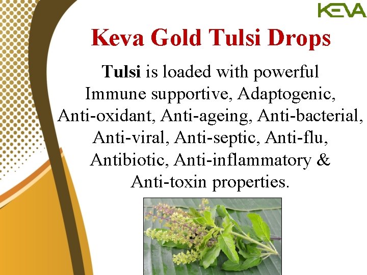 Keva Gold Tulsi Drops Tulsi is loaded with powerful Immune supportive, Adaptogenic, Anti-oxidant, Anti-ageing,