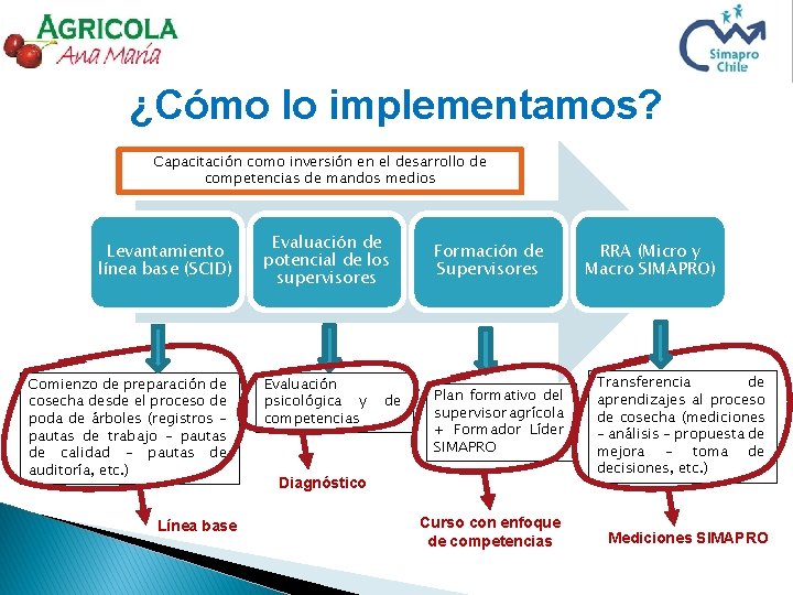 Desarrollo de competencias de liderazgo para Mandos Medios