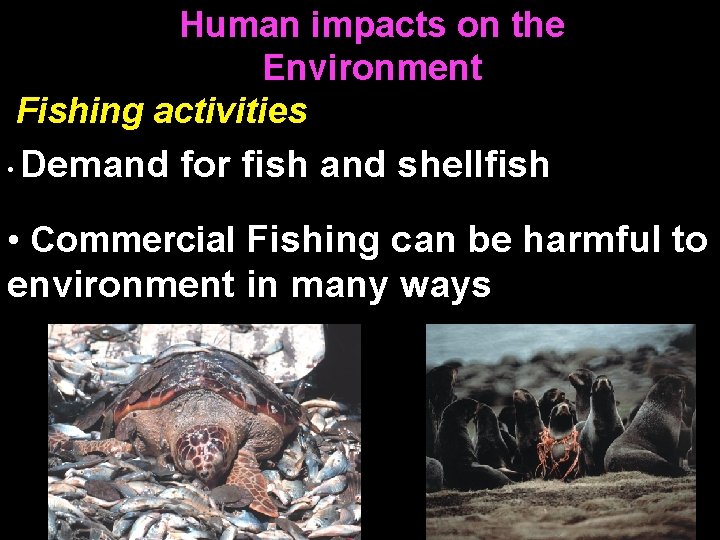 Human impacts on the Environment Fishing activities • Demand for fish and shellfish •