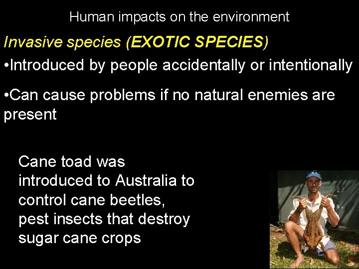 Human impacts on the environment Invasive species (EXOTIC SPECIES) • Introduced by people accidentally