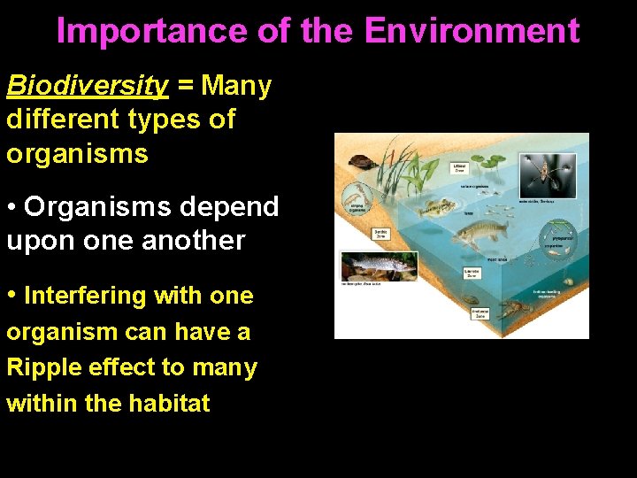 Importance of the Environment Biodiversity = Many different types of organisms • Organisms depend