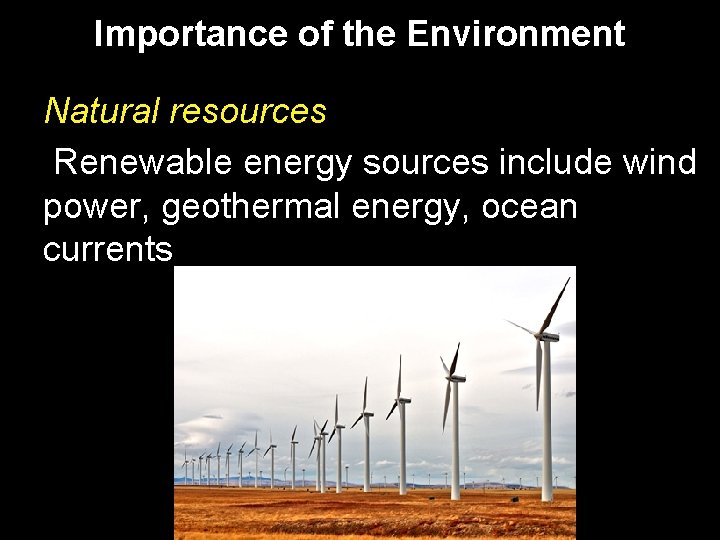 Importance of the Environment Natural resources Renewable energy sources include wind power, geothermal energy,