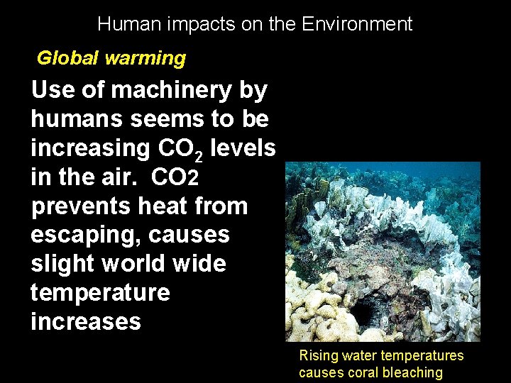 Human impacts on the Environment Global warming Use of machinery by humans seems to