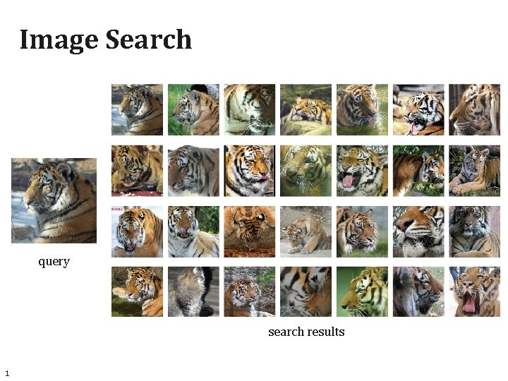 Image Search query search results 1 