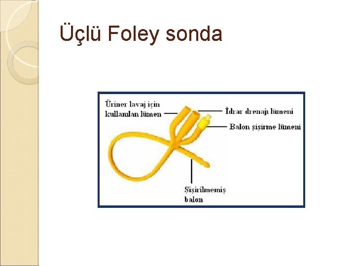 Üçlü Foley sonda Üçlü Foley sonda