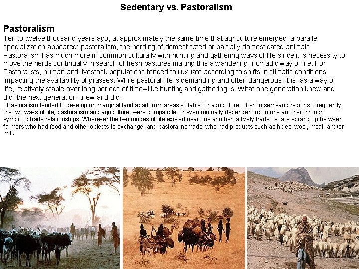 Sedentary vs. Pastoralism Ten to twelve thousand years ago, at approximately the same time
