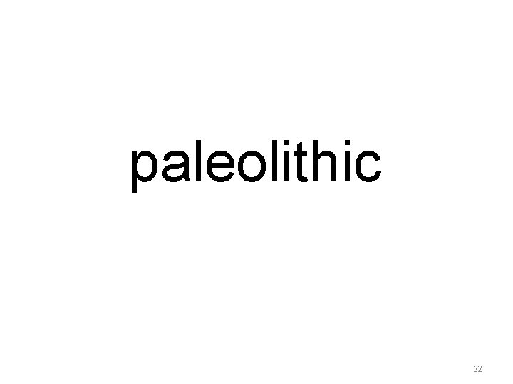 paleolithic 22 