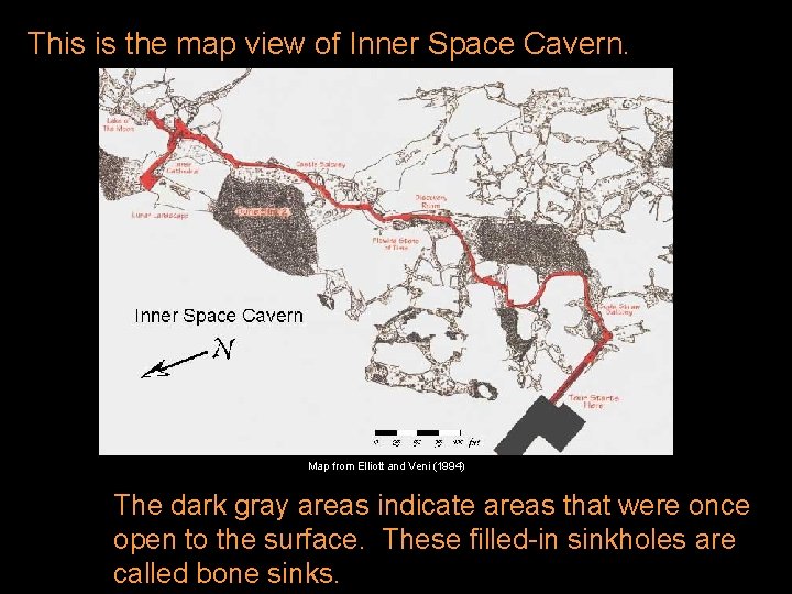 This is the map view of Inner Space Cavern. Map from Elliott and Veni