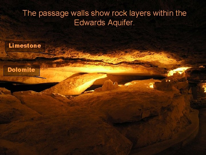 The passage walls show rock layers within the Edwards Aquifer. Limestone Dolomite 