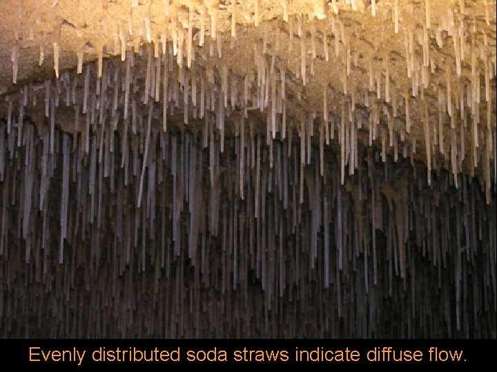 Evenly distributed soda straws indicate diffuse flow. 