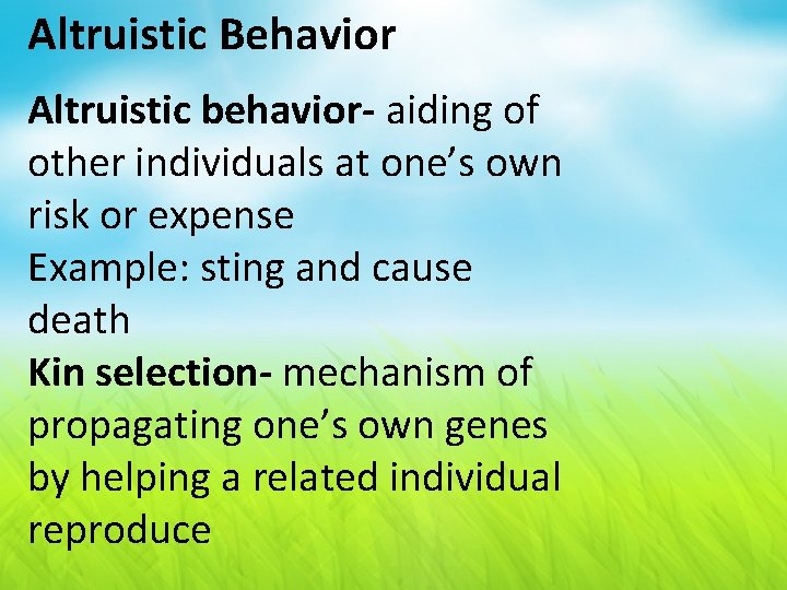 Altruistic Behavior Altruistic behavior- aiding of other individuals at one’s own risk or expense