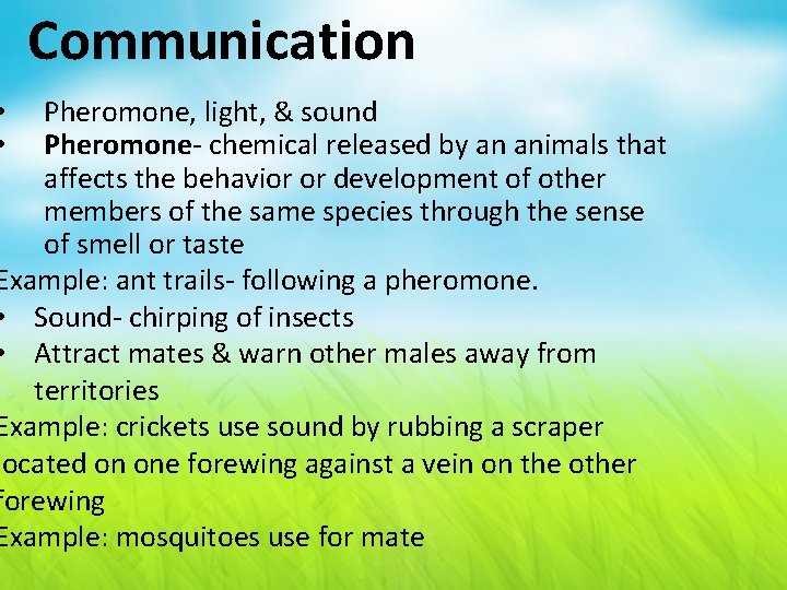 Communication Pheromone, light, & sound Pheromone- chemical released by an animals that affects the
