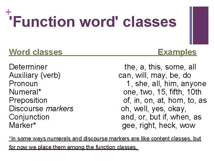 + 'Function word' classes Word classes Examples Determiner the, a, this, some, all Auxiliary