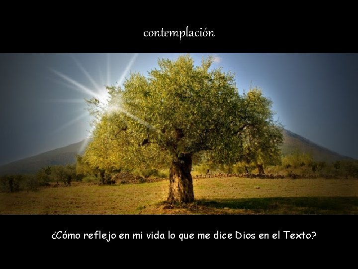 contemplación ¿Cómo reflejo en mi vida lo que me dice Dios en el Texto?