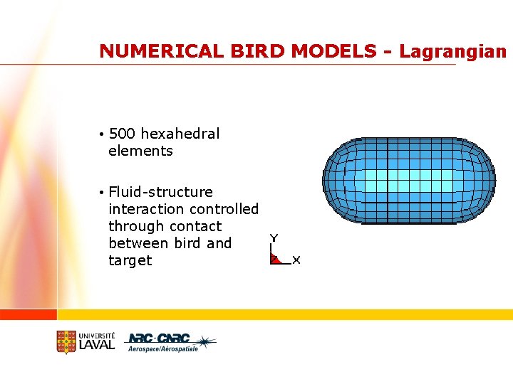 NUMERICAL BIRD MODELS - Lagrangian • 500 hexahedral elements • Fluid-structure interaction controlled through