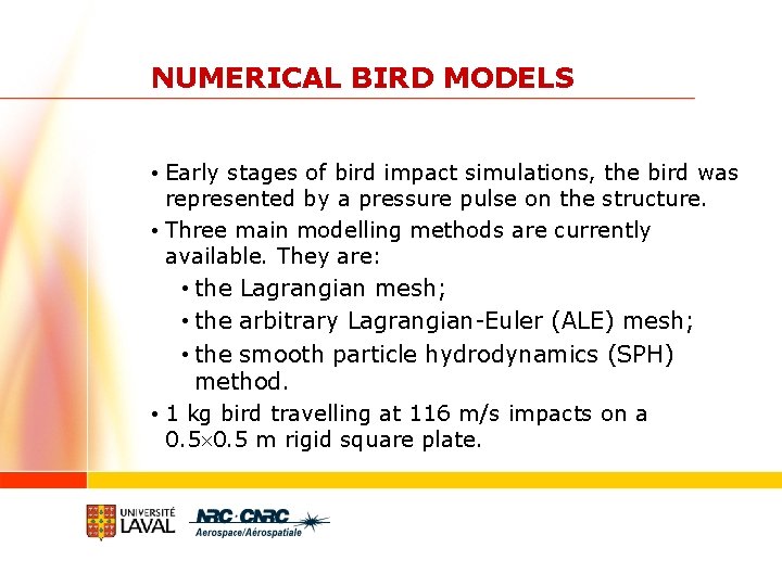 NUMERICAL BIRD MODELS • Early stages of bird impact simulations, the bird was represented