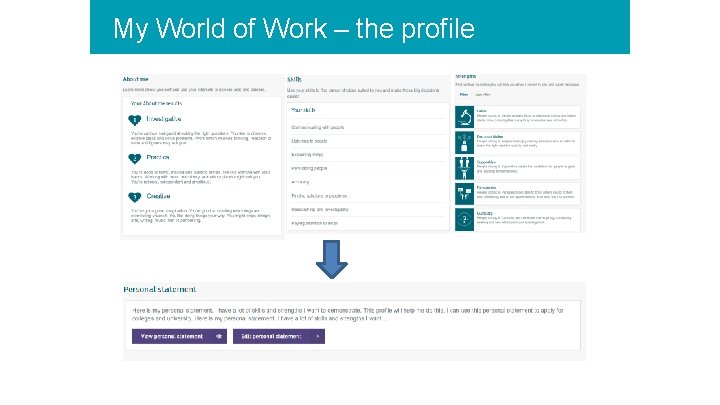 My World of Work – the profile Title 