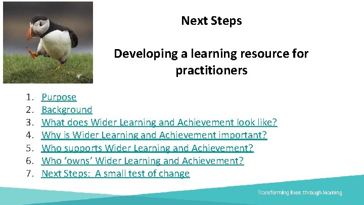 Next Steps Developing a learning resource for practitioners 1. 2. 3. 4. 5. 6.