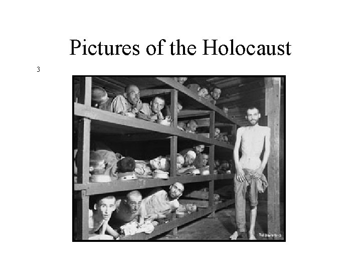 Pictures of the Holocaust 3 