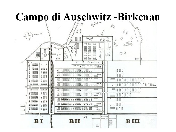 Campo di Auschwitz -Birkenau 6 