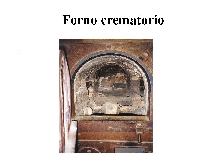 Forno crematorio 8 