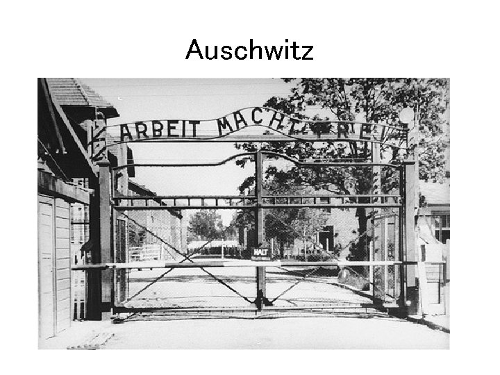 Auschwitz 