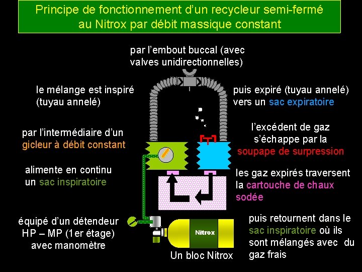 Principe de fonctionnement d’un recycleur semi-fermé au Nitrox par débit massique constant par l’embout